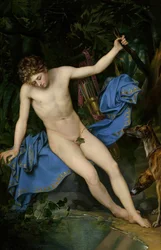 Narcissus